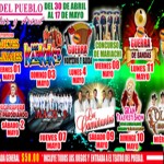 Teatro del Pueblo Ixtapa 2015